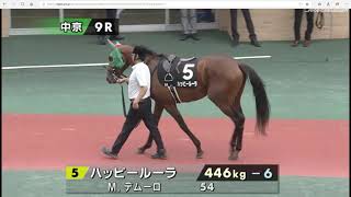 【パドック】 単勝1.2倍 友道 康夫厩舎のラインベック 2019年7月20日（土曜） 3回中京7日 9R スポーツ報知杯中京２歳ステークス 中京 芝 1600m