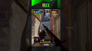"m0nesy go kill" -snax, probably