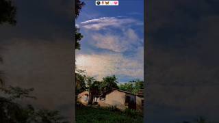 🤍🖤_Peaceful morning nature_🌚🌷#shorts #fypシ゚viral #matazmare