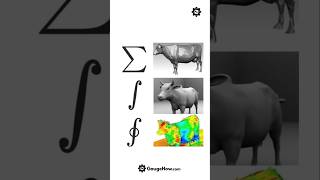 CFD (Cow Fluid Dynamics🐮) #EngineeringHumor  #simulation #aerodynamics