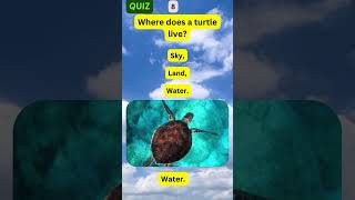 Animals Quiz Factory(Part 02) #quiz #animals #quiztime #quizgames #quizshorts #quizchallenge