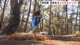 三保松原で松林の景観を学んで守るイベント