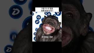 [한입지식] 거울 속 내 얼굴, 진짜 모습일까?