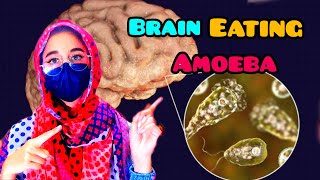 #Naegleria  Fowleri (Brain eating amoeba)❗
