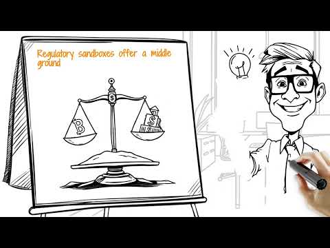 What Is a Digital Sandbox? | Regulatory sandboxes for fintech and AI innovation