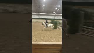 #horse #equestrianjourney #equestrian #horsetrack #horserider #