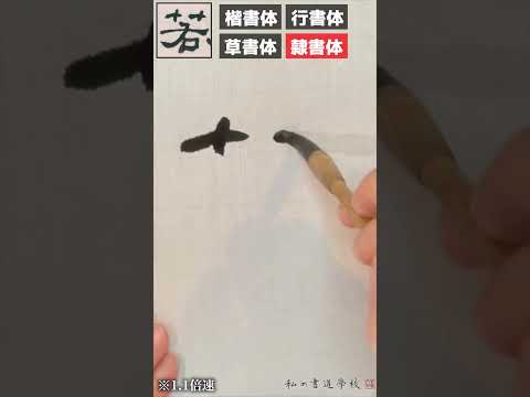 プロ書道家の筆遣いテク！「楷書・行書・草書・隷書」編#shorts