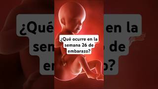 🤔 ¿Qué ocurre en la semana 26 de embarazo? 🤰 Síntomas y desarrollo del bebé