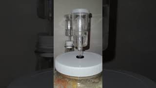 Homemade Pear Cider Makes Millions of Bubbles  #applewine #fruitwine #cooking #wine #science