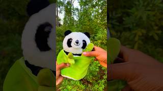 Is This The Cutest Panda Plushie Ever? 🐼💘