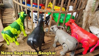 Wadidau🔴🔴 Potong Sapi Qurbani | Sapi, Gajah, Kerbau, Kuda, Domba, Unta Melahirkan, Sapi Mandi Lumpu