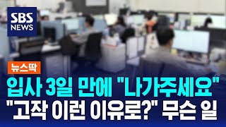 입사 3일 만에 "나가주세요"…"고작 이런 이유로?" 무슨 일 / SBS / 뉴스딱