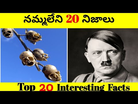 20 interesting Facts In Telugu | facts in telugu interesting | 20 Telugu Facts new | Unknown facts