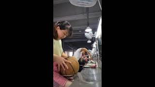 🔴Factory Work Basketballs