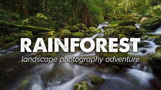 Rainforest and Waterfalls | Landscape Photography Vlog | Lamington National Park Australia