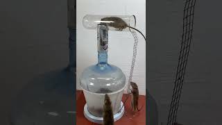 Mousetrap #rattrap #rat #pestcontrol #ratbait #catcher #mousetrap #mouse #ratpoison #rattletrap