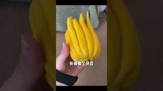 内行人家里的天然香薰！还是大自然的味道好闻！ #家居好物 #好物分享 #平价好物 #生活 #生活小妙招 #生活小技巧 #信息差 #实用好物 #居家好物 #居家必备 #香薰 #意外好用 #佛手果