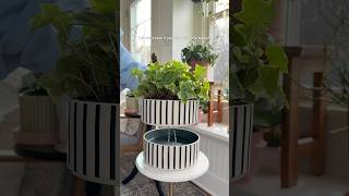IKEA Hack 2.0 Which is better? #selfwateringpot #houseplantslover #plantstyling #diyplanter #plants