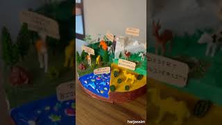 biodiversity model project||ecosystem model || simple and easy project  #biodiversity@Harjassim