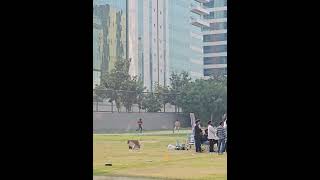 Mobile thief spotted at candor techspace, noida