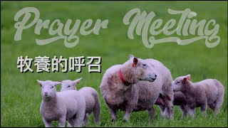 牧養的呼召｜線上禱告會 ｜TC 真道教會