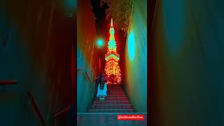 Beautiful Tokyo #travel #chinacity #amazing #ytshorts