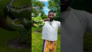 amazing snake 🐍 #domnature #wildanimals #dj #nature #wildlife #snake #shorts #shortvideo #short