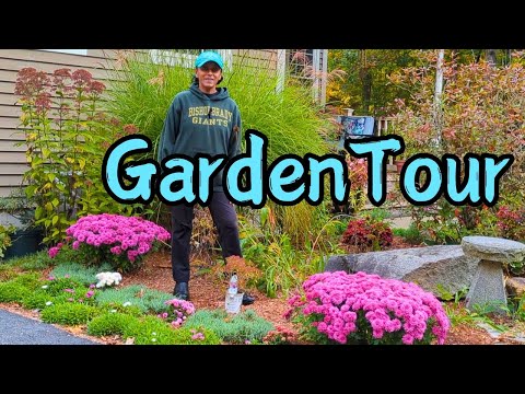 October FALL Garden Tour 2024 🍂🏡 Rural New Hampshire Zone 5b