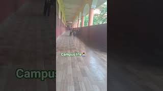 campus life 🫂#campuslife #kerala #shorts
