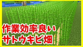 【マイクラ初心者攻略】 サトウキビ畑の作り方と明かりがなくても育つのか? 実験してみた まあクラ 【ゆっくり実況】