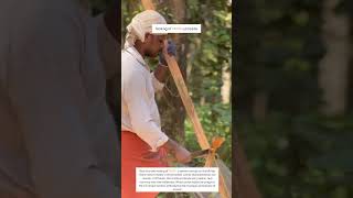 making of vanya campsite - canopy at SueloTribe by SueloTribe community workers #ecocamping #travel