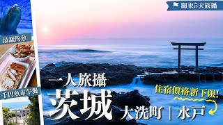 🫨美食住宿價遠低東京？𝑬𝑷𝟐茨城・絕景神磯鳥居日出⛩️🌅訪關東最大水族館＼明星傻魚🐟／魚市場超值美食🌟水戶翻新酒店極好住｜茨城縣｜茨城自由行｜大洗町｜大洗磯前神社｜日本自由行