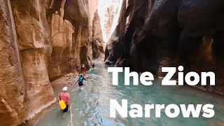 [Zion National Park] The Narrows @ Utah | 錫安國家公園 - 溯溪初體驗