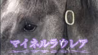 マイネルラウレア〜命の価値