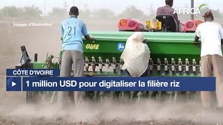 Côte d'Ivoire : 1 million USD pour digitaliser la filière riz