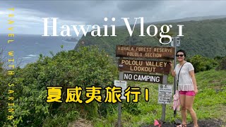 夏威夷旅行 Vlog 1 Hawaii Big Island Travel, Waikoloa, Pololū Valley Lookout, Waimea