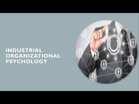 INDUSTRIAL ORGANIZATIONAL PSYCHOLOGY:DESIGNING EVALUATING TRAINING SYSTEM
