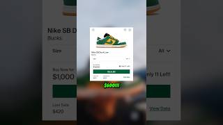 WE PAID $80 FOR THIS RARE NIKE SB