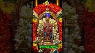 தேவைகளை நிறைவேற்றும் முருகா|தைமாத தேய்பிறைசஷ்டி#shortsfeed #devotional #lordmuruga #murugan
