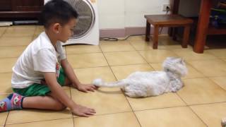 全自動逗小孩棒 （小孩與貓）