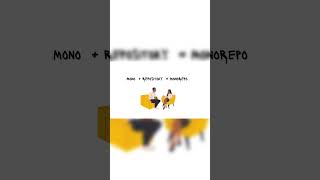 What is a monorepo?