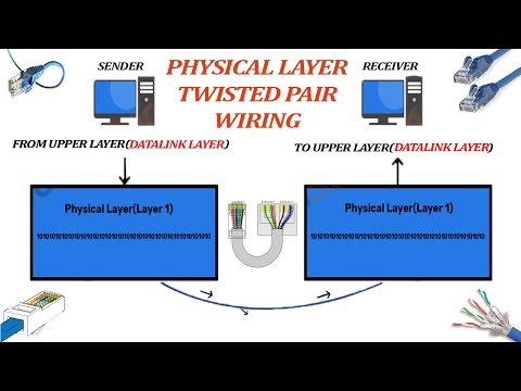 Physical layer of twisted pair ethernet wiring,#shorts,#ethernet,#techfacts,#rj45,subscribe click 👇