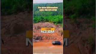 Affordable farmland for sale in Ogun State. #nigeriansindiaspora #farmlandforsaleinogunstate