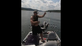 How to catch Skipjack in the Summer for Catfish Bait