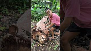 Sapi Tidur 🐮