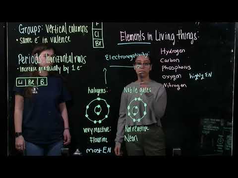 Relate Atom's Behavior to Position in Periodic Table (BIOS 041)
