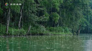 🔴【White Noise】Listen! The mesmerizing sound of rain and thunder by the lake! deep sleep, #bgm, 2022