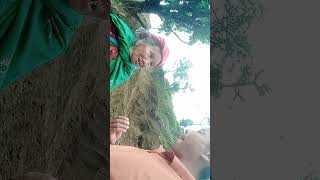 पिपुकटोल सडक निर्माण योजना सम्पन्न.......