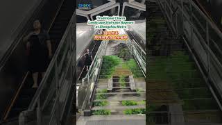 Landscape staircase appears at Zhengzhou Metro.