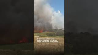 Les images d'un feu de forêt dans l'Aude